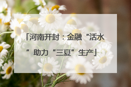 河南开封：金融“活水”助力“三夏”生产