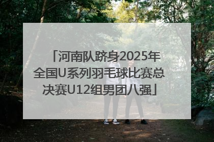 河南队跻身2025年全国U系列羽毛球比赛总决赛U12组男团八强