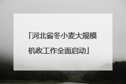 河北省冬小麦大规模机收工作全面启动