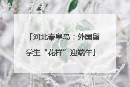 河北秦皇岛：外国留学生“花样”迎端午