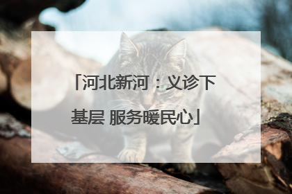 河北新河：义诊下基层 服务暖民心