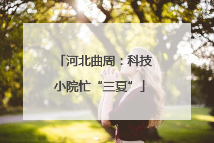 河北曲周：科技小院忙“三夏”