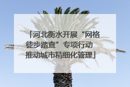 河北衡水开展“网格徒步踏查”专项行动 推动城市精细化管理