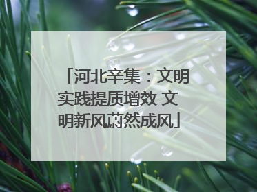 河北辛集：文明实践提质增效 文明新风蔚然成风