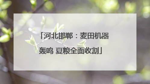 河北邯郸：麦田机器轰鸣 夏粮全面收割