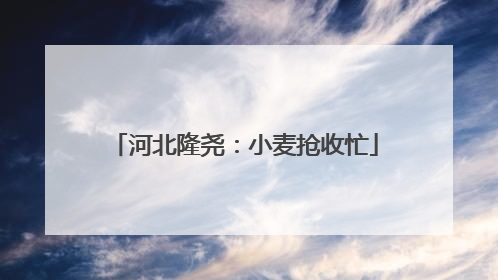 河北隆尧：小麦抢收忙