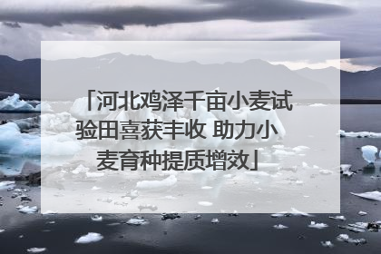 河北鸡泽千亩小麦试验田喜获丰收 助力小麦育种提质增效