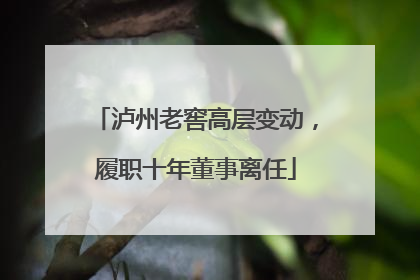 泸州老窖高层变动，履职十年董事离任