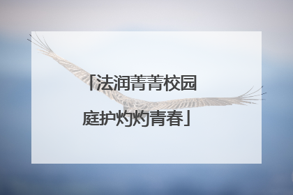 法润菁菁校园 庭护灼灼青春