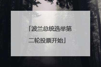 波兰总统选举第二轮投票开始