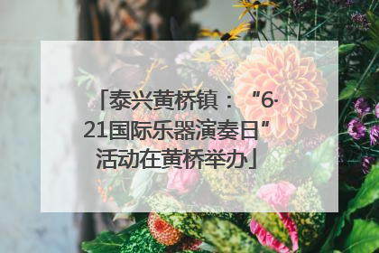 泰兴黄桥镇：“6·21国际乐器演奏日”活动在黄桥举办