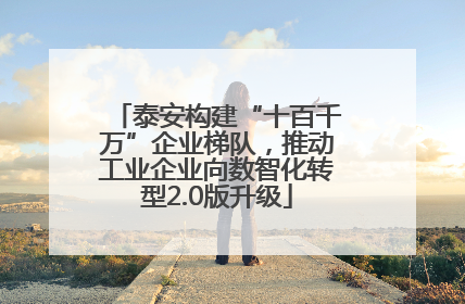 泰安构建“十百千万”企业梯队，推动工业企业向数智化转型2.0版升级