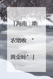 海南：助农增收 “黄金叶”