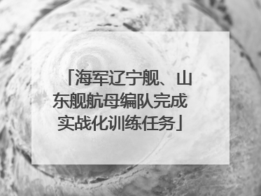 海军辽宁舰、山东舰航母编队完成实战化训练任务