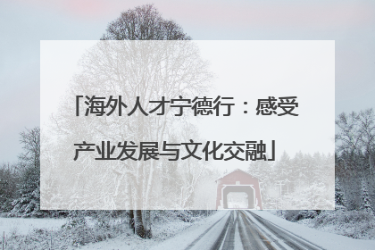 海外人才宁德行：感受产业发展与文化交融