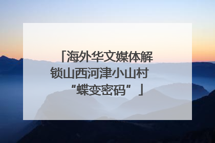 海外华文媒体解锁山西河津小山村“蝶变密码”