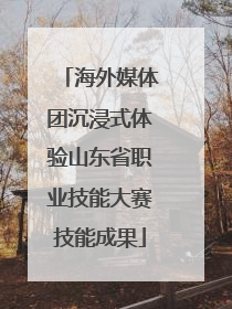 海外媒体团沉浸式体验山东省职业技能大赛技能成果