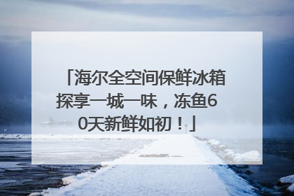 海尔全空间保鲜冰箱探享一城一味，冻鱼60天新鲜如初！