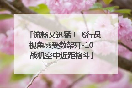 流畅又迅猛！飞行员视角感受数架歼-10战机空中近距格斗