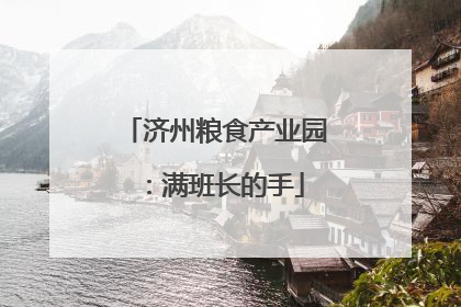济州粮食产业园：满班长的手
