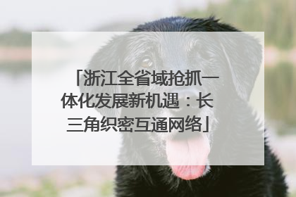 浙江全省域抢抓一体化发展新机遇：长三角织密互通网络