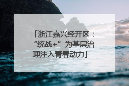浙江嘉兴经开区：“统战+”为基层治理注入青春动力