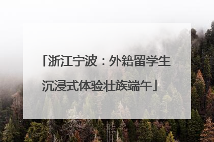 浙江宁波：外籍留学生沉浸式体验壮族端午
