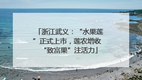 浙江武义：“水果莲”正式上市，莲农增收“致富果”注活力