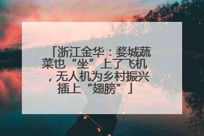 浙江金华：婺城蔬菜也“坐”上了飞机，无人机为乡村振兴插上“翅膀”