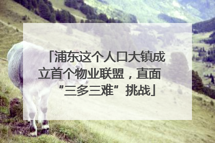 浦东这个人口大镇成立首个物业联盟，直面“三多三难”挑战