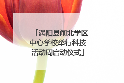 涡阳县闸北学区中心学校举行科技活动周启动仪式