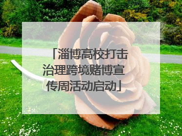 淄博高校打击治理跨境赌博宣传周活动启动