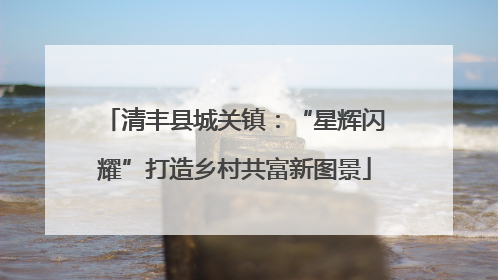 清丰县城关镇：“星辉闪耀”打造乡村共富新图景