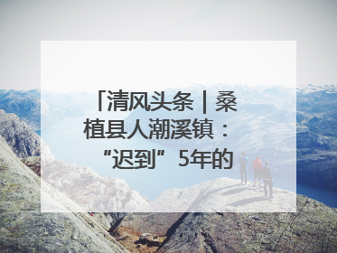 清风头条｜桑植县人潮溪镇：“迟到”5年的生态林补偿金