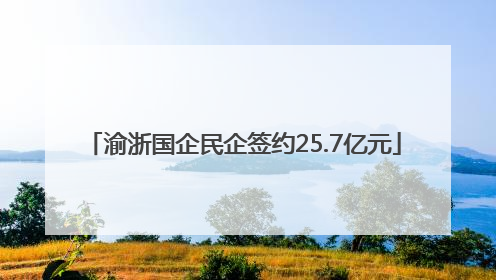 渝浙国企民企签约25.7亿元
