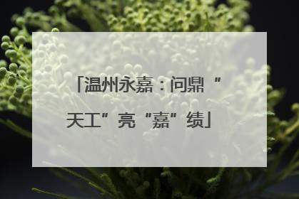 温州永嘉：问鼎“天工”亮“嘉”绩