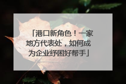 港口新角色！一家地方代表处，如何成为企业纾困好帮手