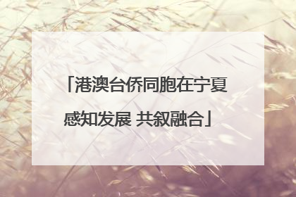 港澳台侨同胞在宁夏感知发展 共叙融合