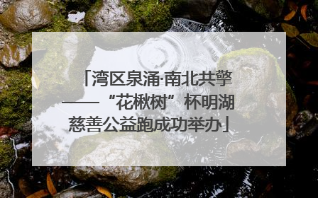 湾区泉涌·南北共擎——“花楸树”杯明湖慈善公益跑成功举办