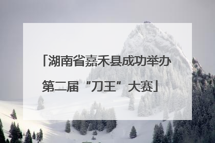 湖南省嘉禾县成功举办第二届“刀王”大赛
