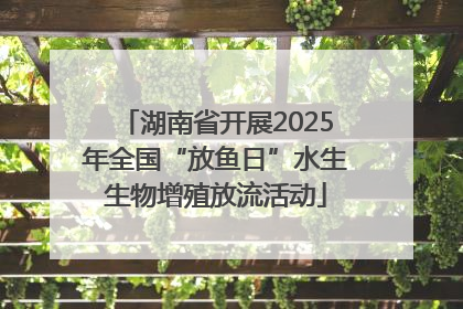 湖南省开展2025年全国“放鱼日”水生生物增殖放流活动