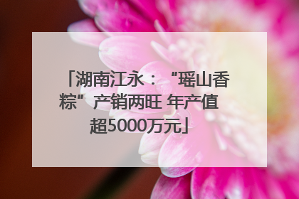 湖南江永：“瑶山香粽”产销两旺 年产值超5000万元