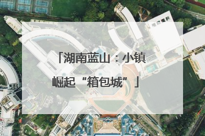 湖南蓝山：小镇崛起“箱包城”
