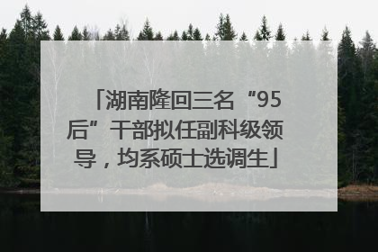 湖南隆回三名“95后”干部拟任副科级领导，均系硕士选调生