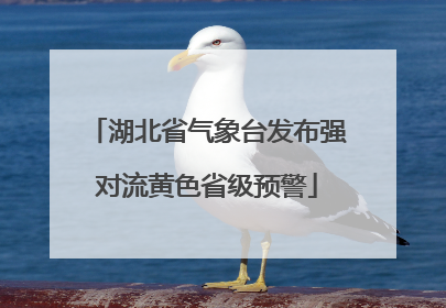 湖北省气象台发布强对流黄色省级预警