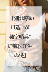 湖北移动打造“AI数字哨兵”护航长江生态链