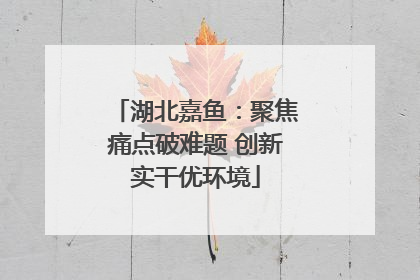 湖北嘉鱼：聚焦痛点破难题 创新实干优环境