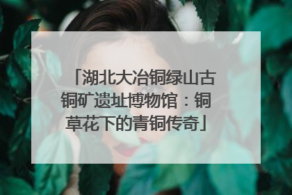 湖北大冶铜绿山古铜矿遗址博物馆：铜草花下的青铜传奇