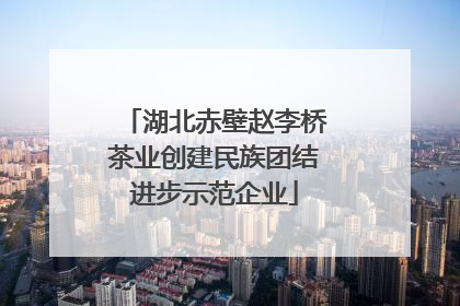 湖北赤壁赵李桥茶业创建民族团结进步示范企业