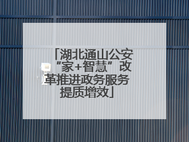 湖北通山公安“家+智慧”改革推进政务服务提质增效
